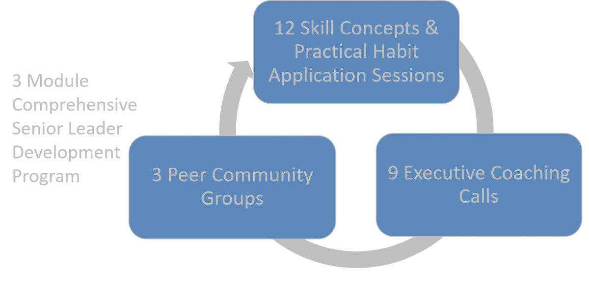 3 Module Comprehensive senior Leader Development Program: 3 Peer Community Groups, 9 Executive Coaching Calls, 12 Skill Concepts and Practical Habit Application Sessions, 